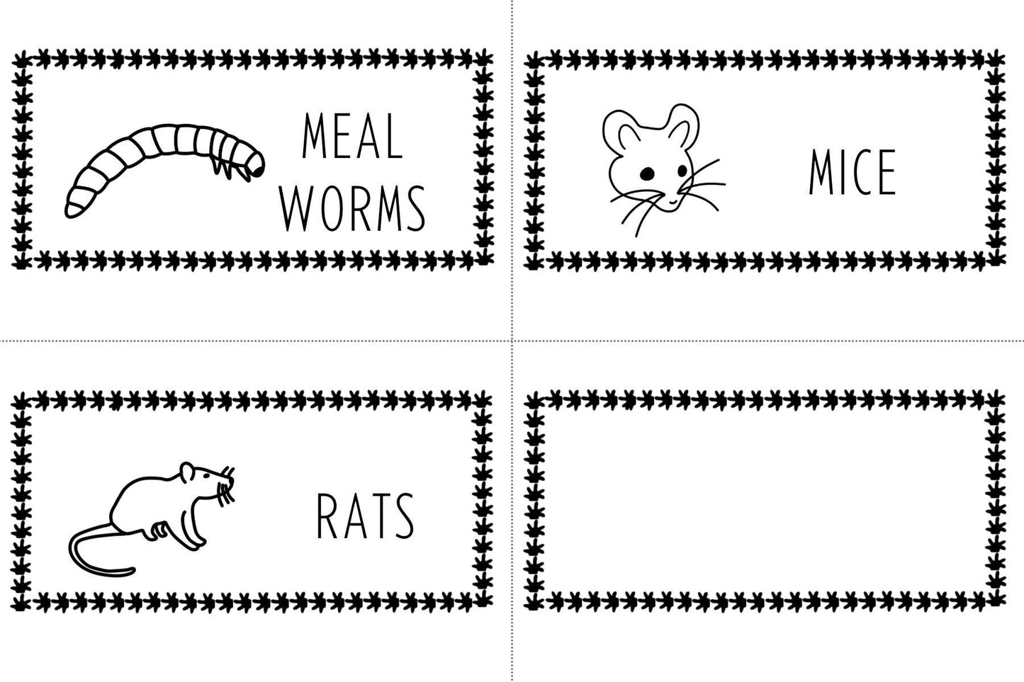 Leopard Gecko Feeder Labels: Reptile Insect ID Tags (Digital Download)