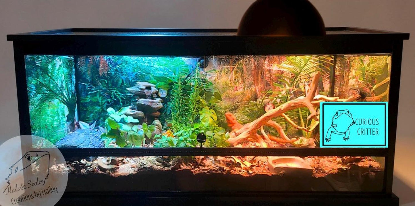 Bearded Dragon Mood Cards: Reptile Behavior Tank Labels (Digital Download)
