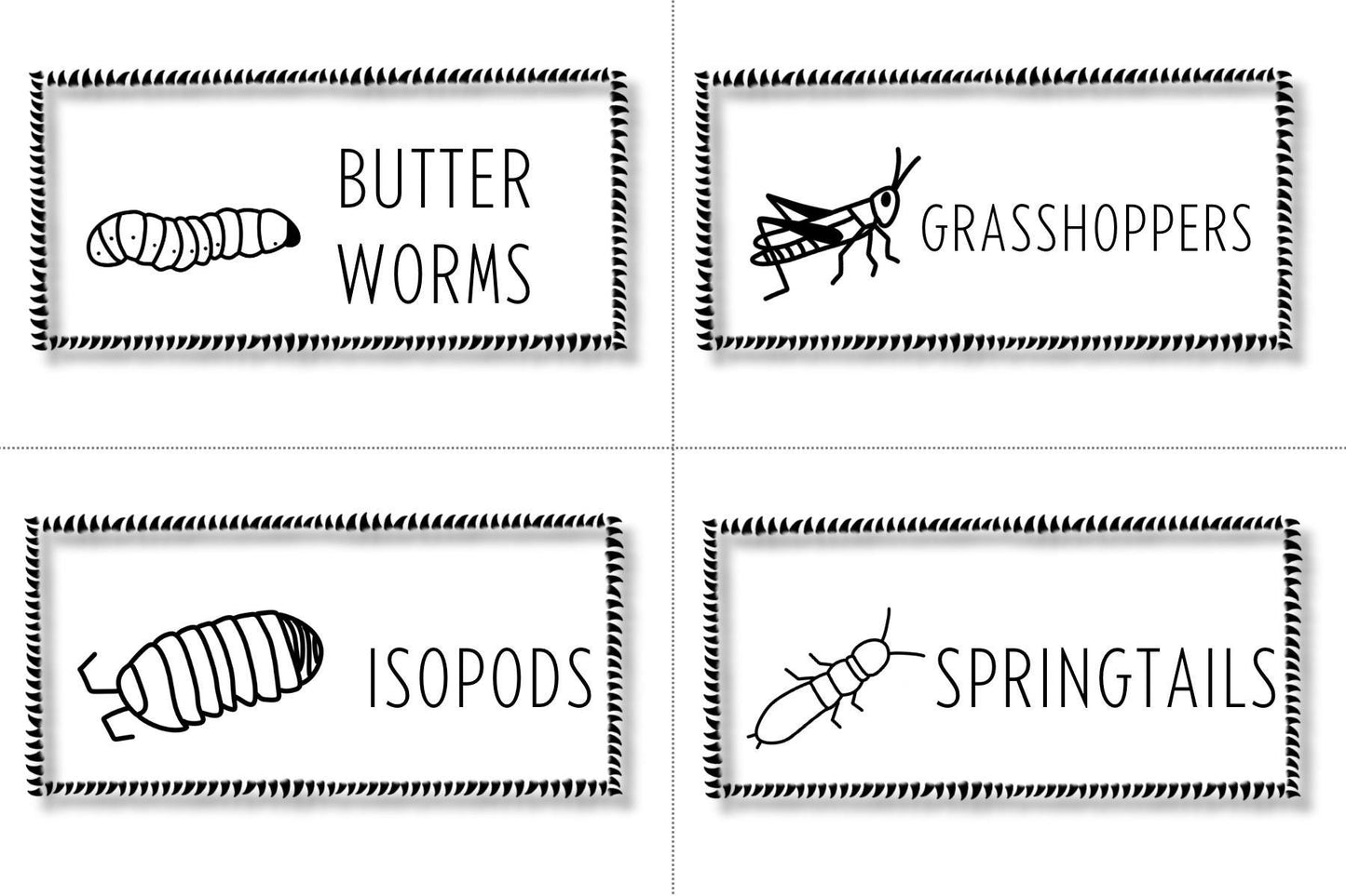 Spiky Reptile Feeder Labels: Insect & Rodent Organizers (Digital Download)
