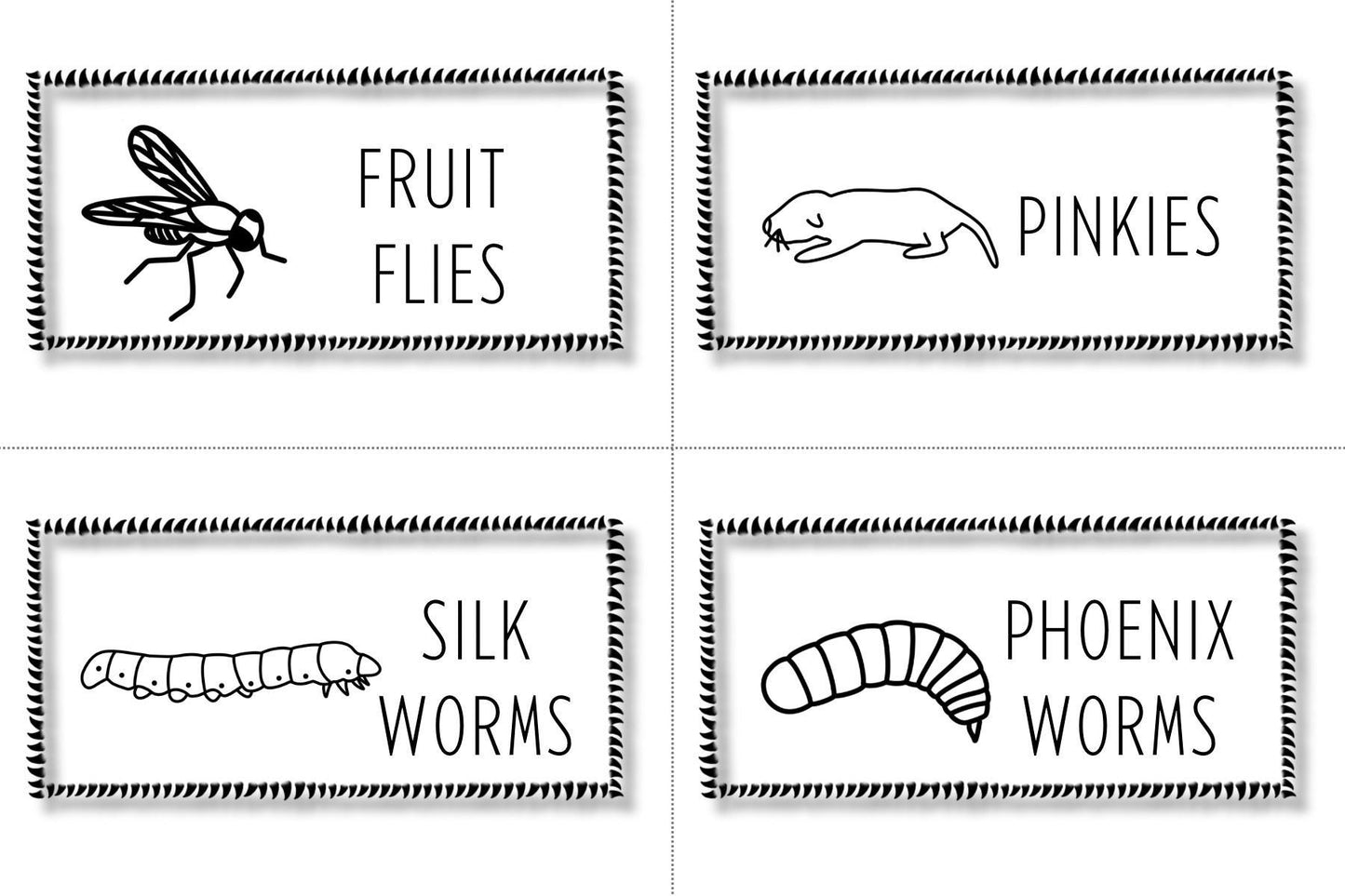 Spiky Reptile Feeder Labels: Insect & Rodent Organizers (Digital Download)