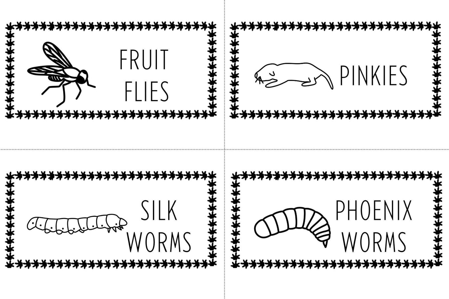 Leopard Gecko Feeder Labels: Reptile Insect ID Tags (Digital Download)