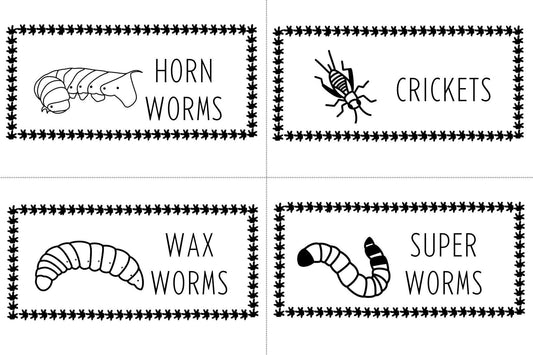 Leopard Gecko Feeder Labels: Reptile Insect ID Tags (Digital Download)