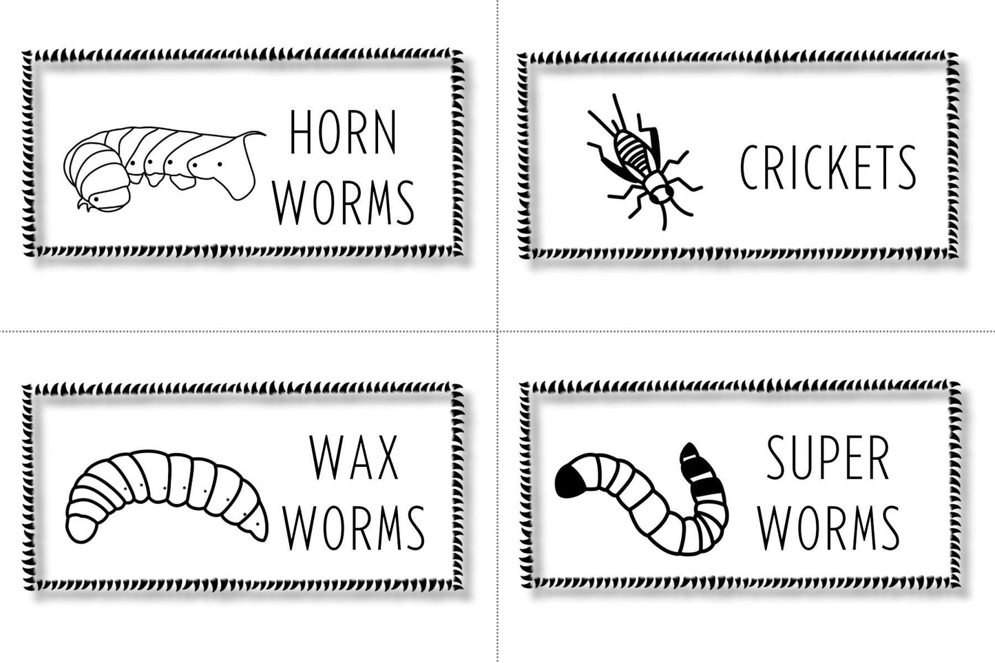 Spiky Reptile Feeder Labels: Insect & Rodent Organizers (Digital Download)