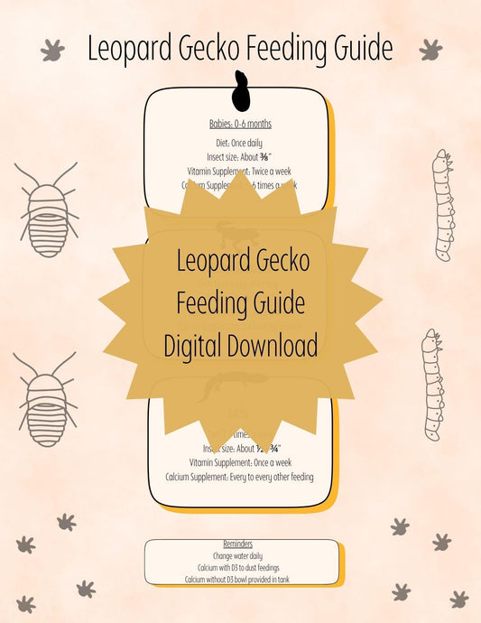 Leopard Gecko Feeding Guide: Reptile Care Sheet (Digital Download)