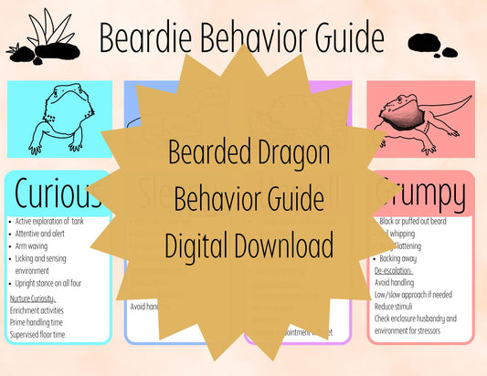 Bearded Dragon Behavior Guide: Reptile Care Sheet (Digital Download)