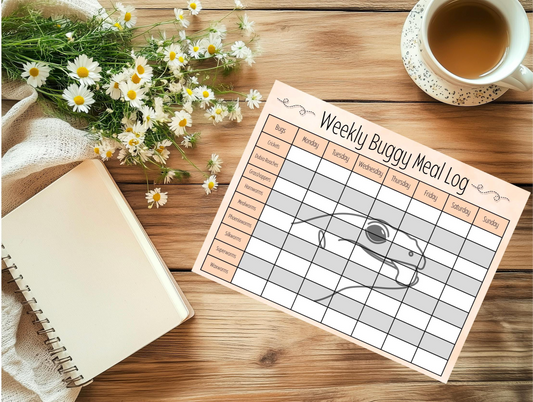 Leopard Gecko Meal Planner: Reptile Feeding Chart (Digital Download)