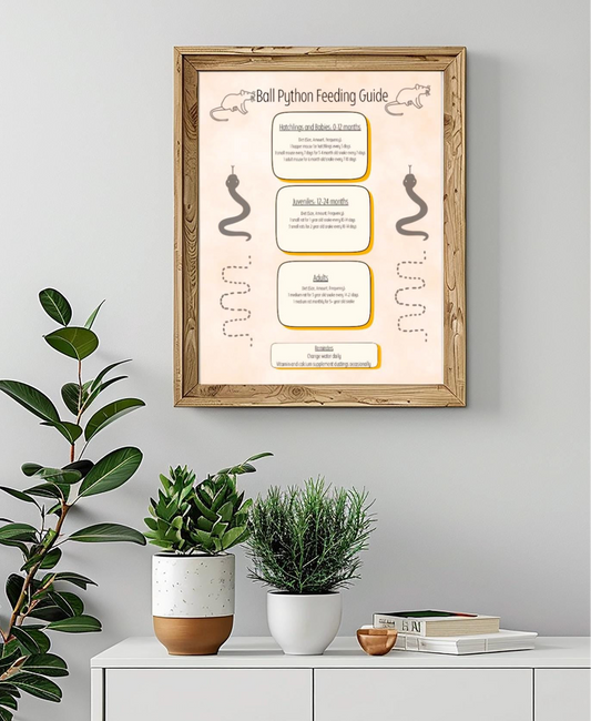 Cute Ball Python Feeding Guide, Digital Download, Printable Downloadable, Ball Python Care Sheet, Snake Meals, Ballies, Reptiles, Snakes