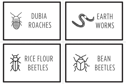 Printable Reptile Feeder Labels: Insect ID Tags, Feeding Station Organizers (Digital Download)