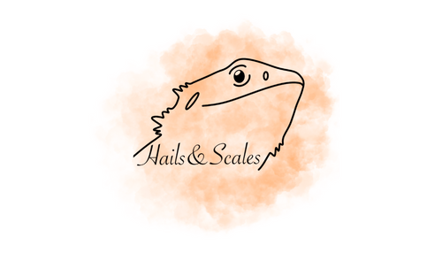 HailsandScales