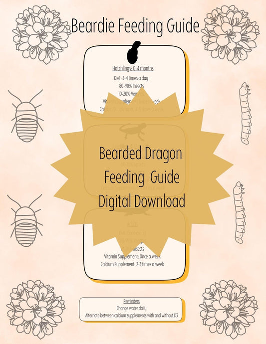 Bearded Dragon Feeding Guide: Beardie Care Sheet (Digital Download)