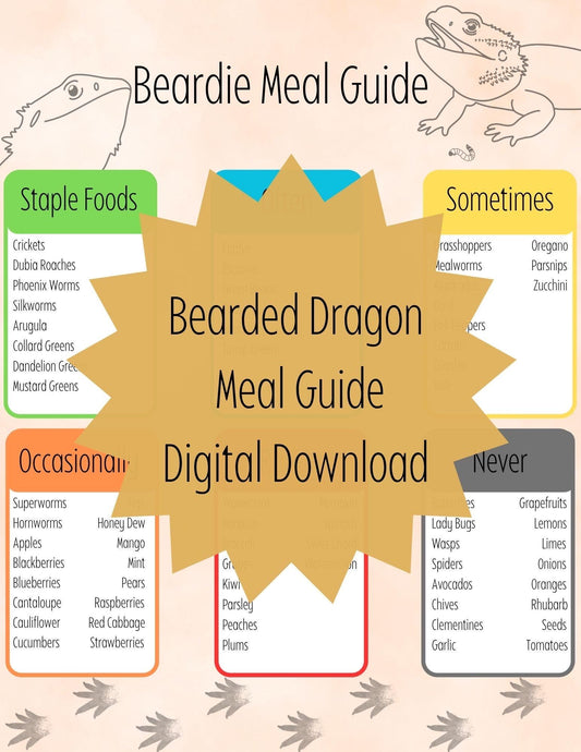 Cute Bearded Dragon Meal Guide: Printable Beardie Food Chart (Digital Download)