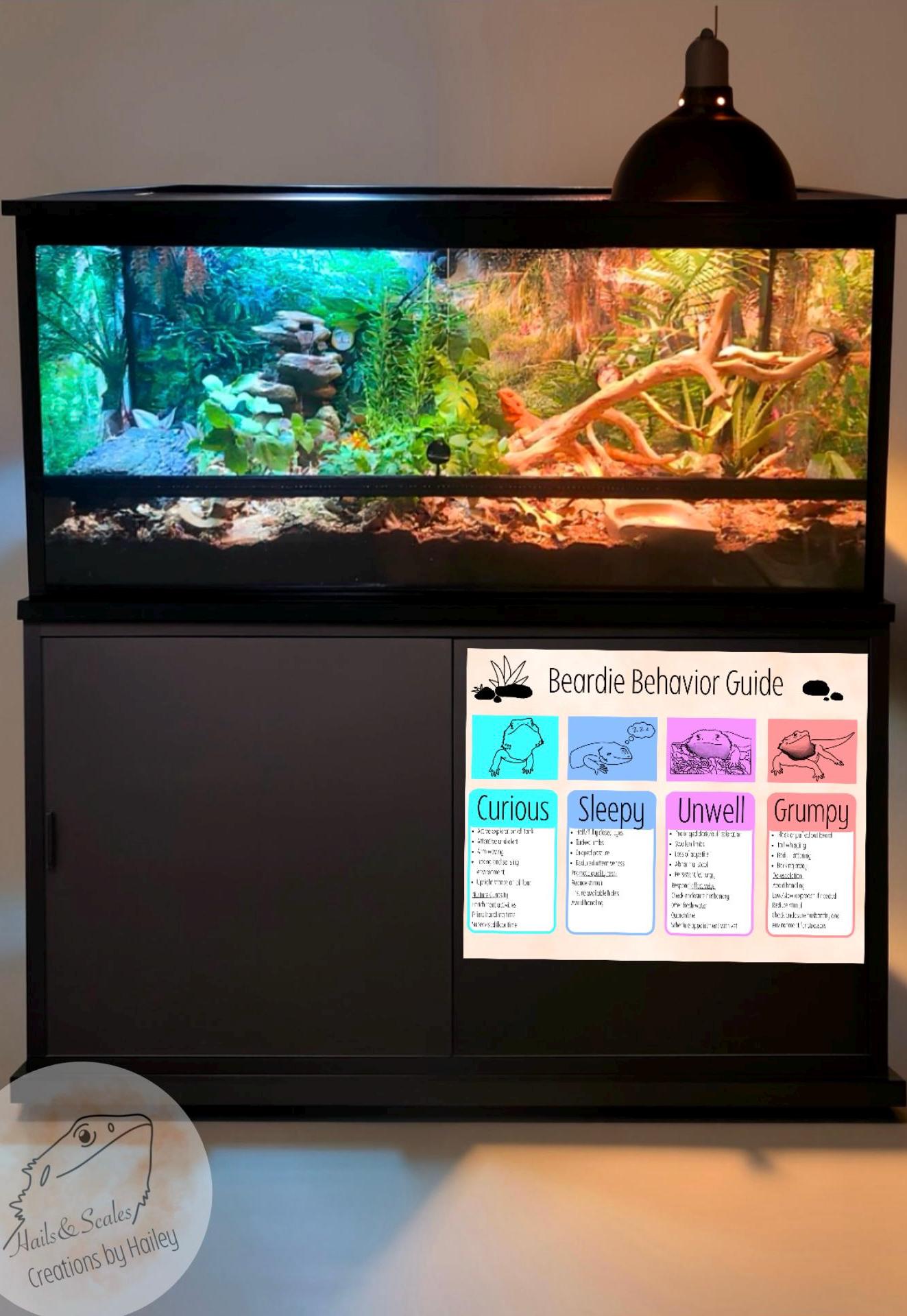 Bearded Dragon Behavior Guide: Reptile Care Sheet (Digital Download)