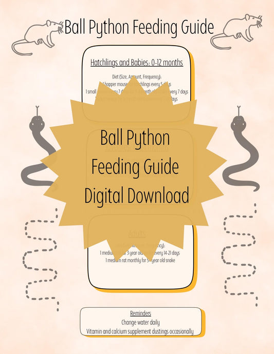 Cute Ball Python Feeding Guide, Digital Download, Printable Downloadable, Ball Python Care Sheet, Snake Meals, Ballies, Reptiles, Snakes